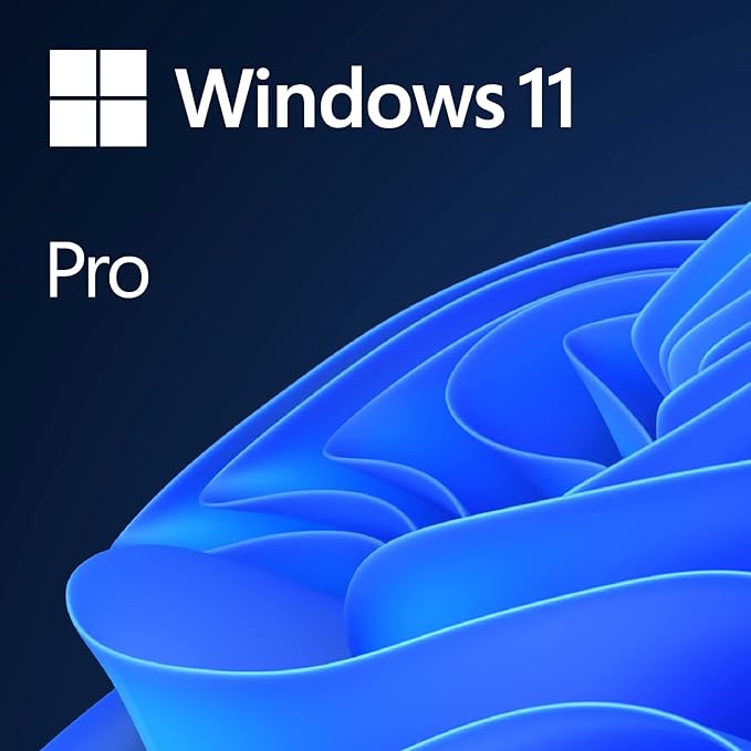 Microsoft Windows 11 Professional - 1 User License |  64-Bit | DVD